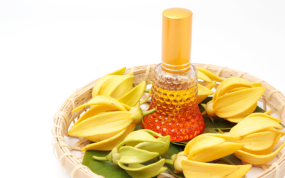 Aceite de Ylang Ylang: La Esencia Exótica para un Cabello Fuerte y Brillante