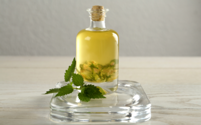 Aceite de Ortiga: El Tónico Natural para un Cabello Fuerte y Abundante